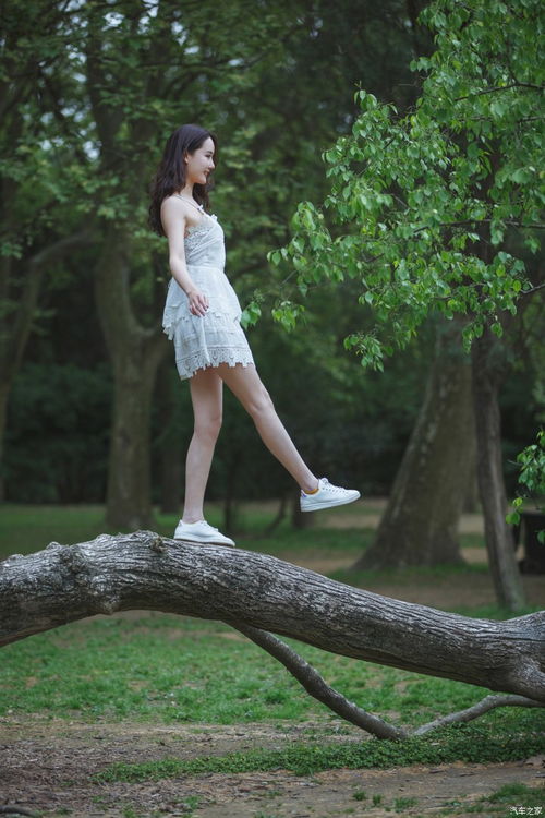 圍標(biāo)串標(biāo)六種常見手法及其法律風(fēng)險警示